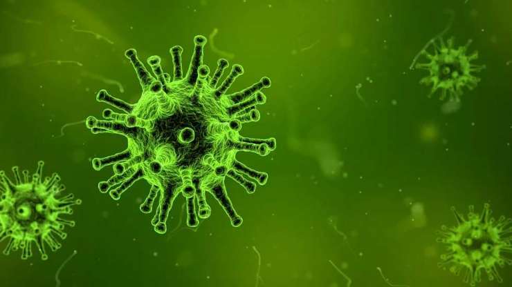 Mudanzas Estado Alarma Coronavirus
